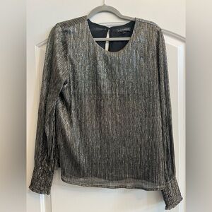 Banana Republic Shimmering Silver Blouse